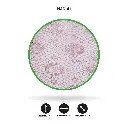 NA6141a.webp