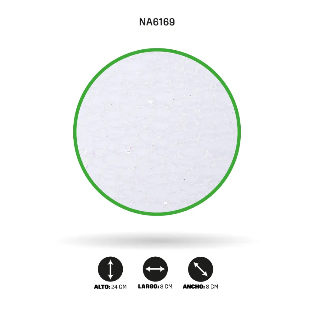 NA6169A.webp