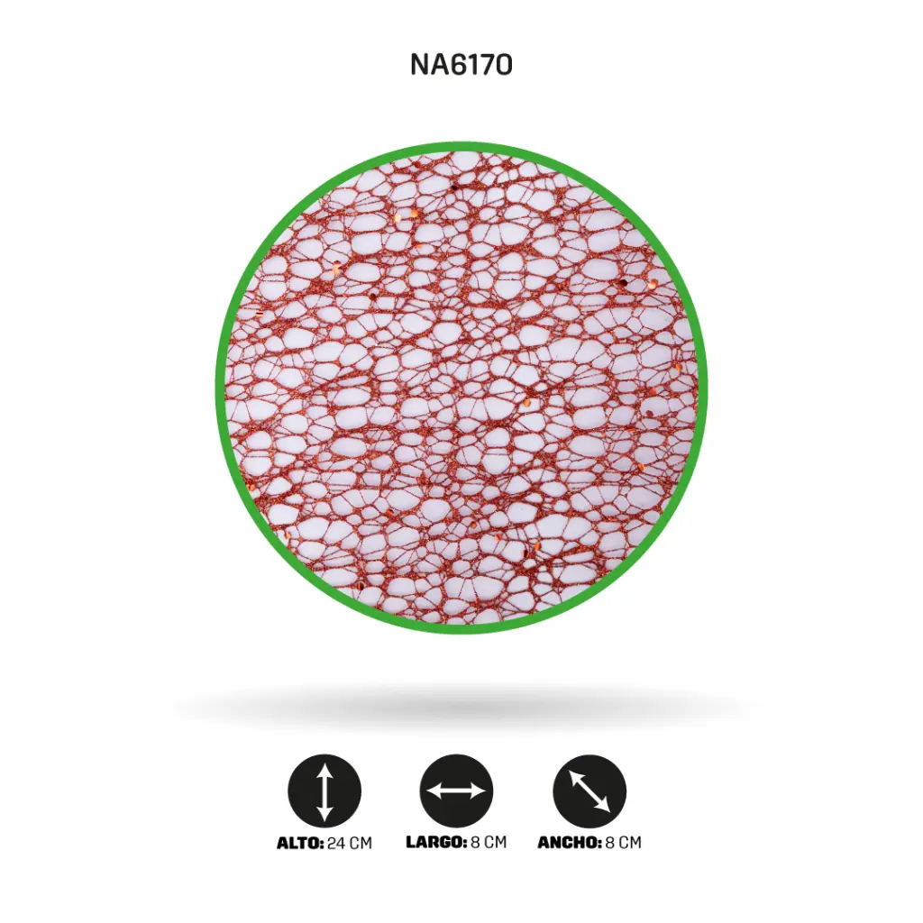 NA6170A.webp