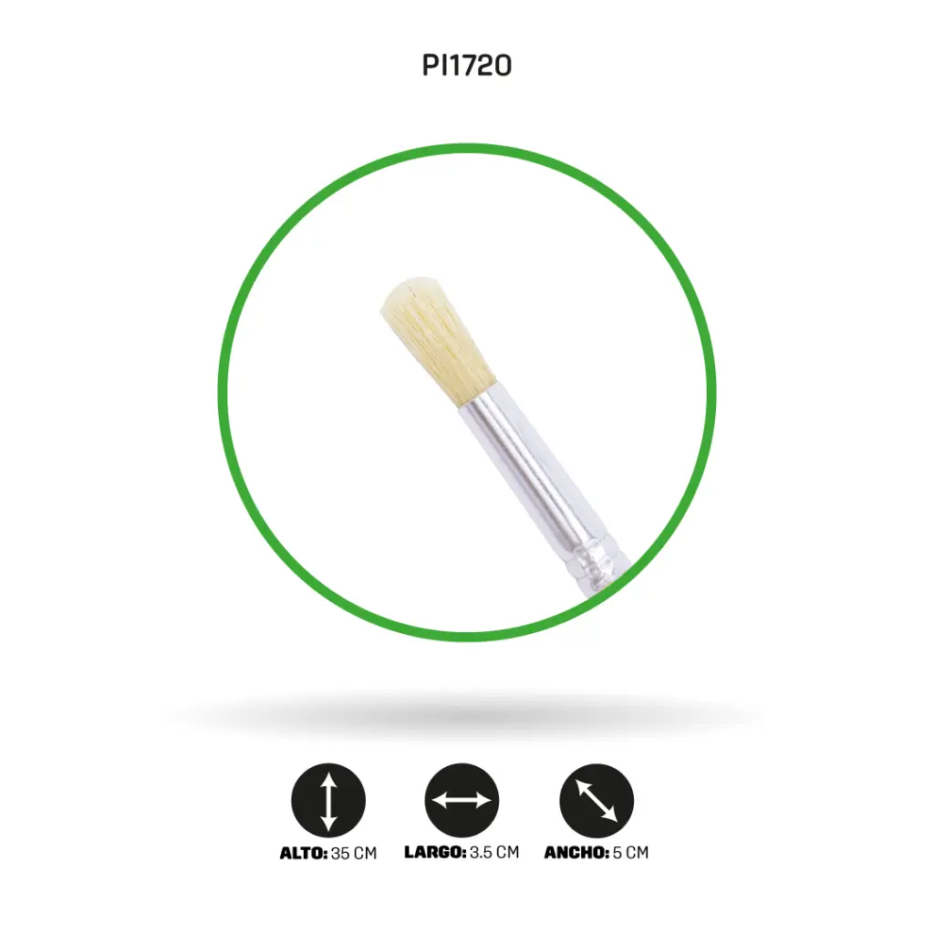PI1720.webp