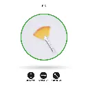 PI6.webp