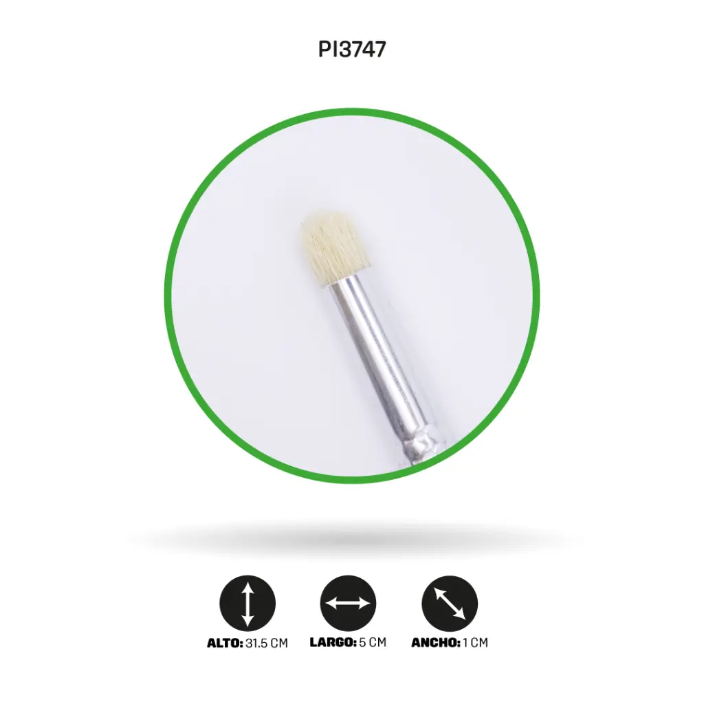 PI3747.webp