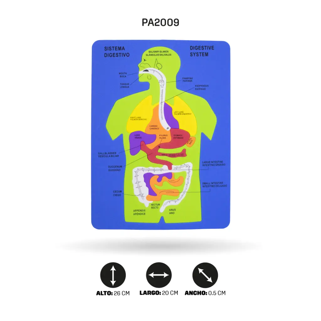 PA2009D.webp