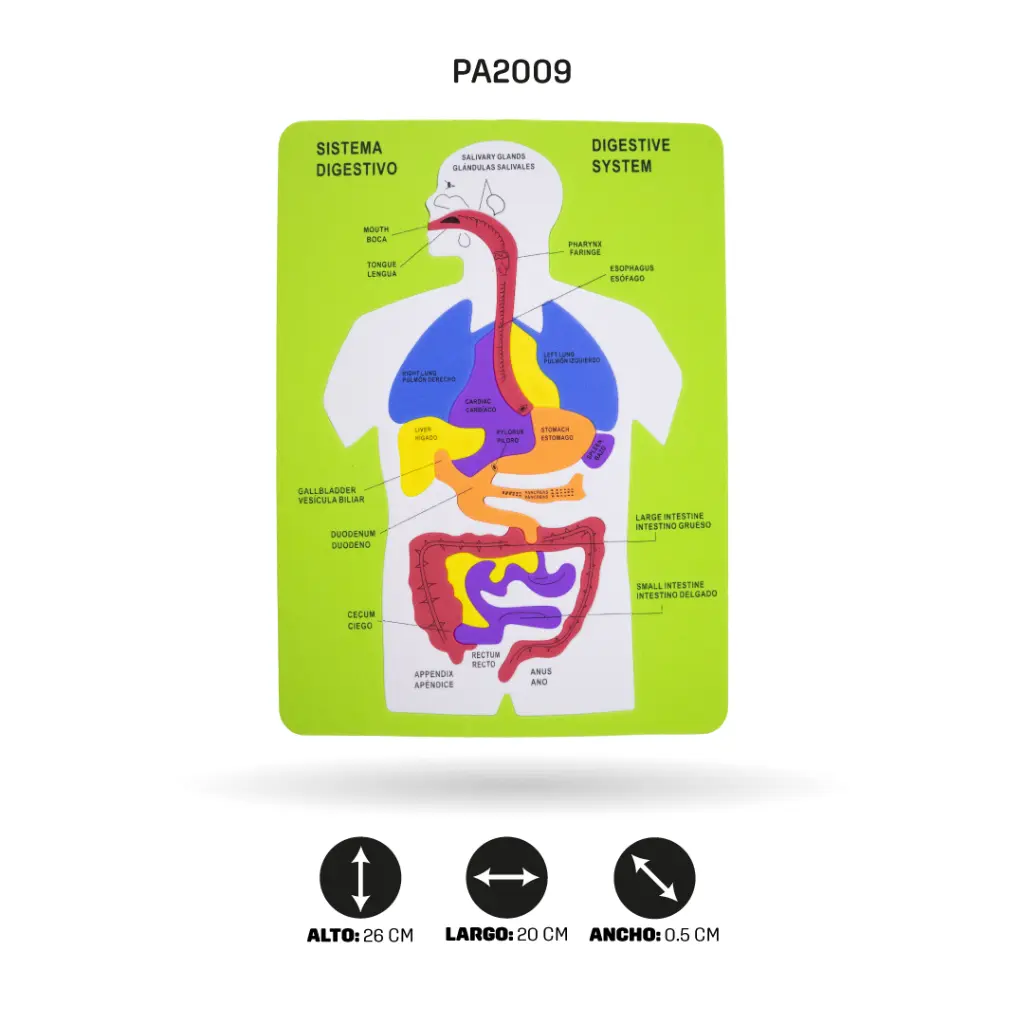PA2009E.webp