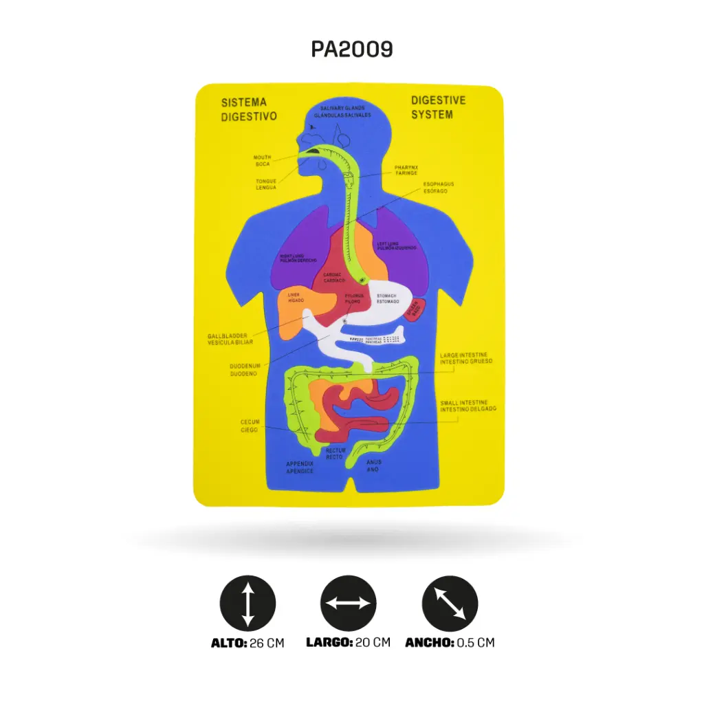 PA2009F.webp