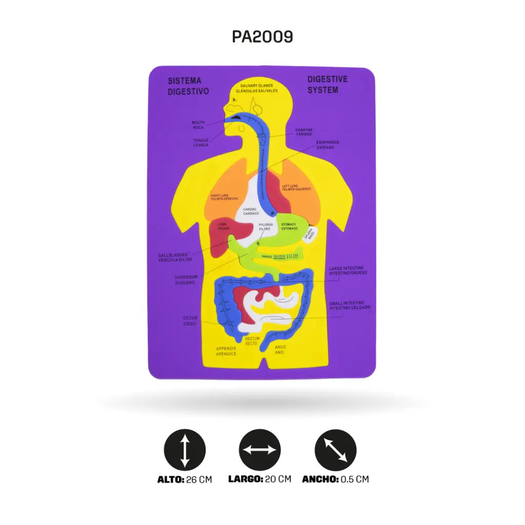 PA2009C.webp