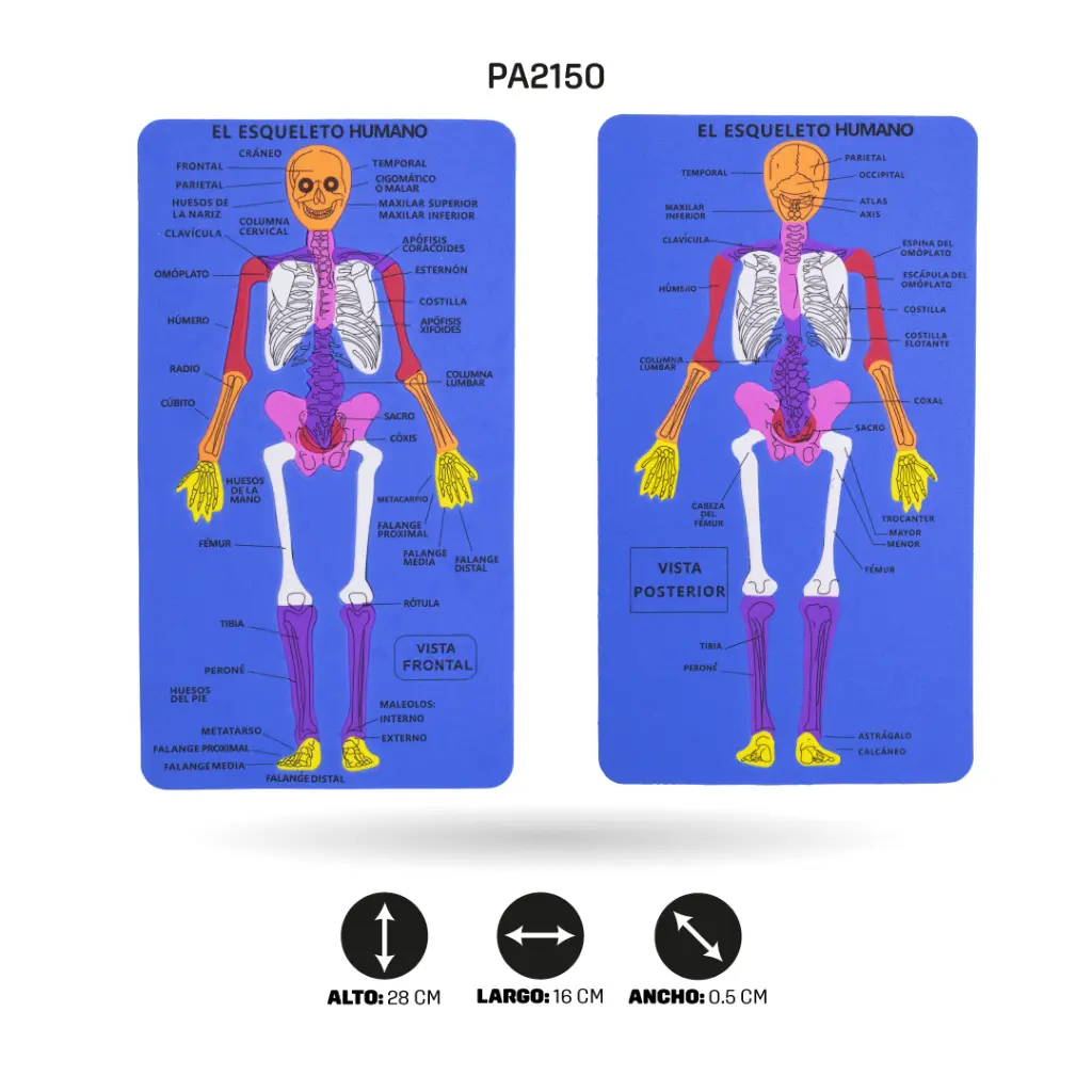 PA2150H.webp