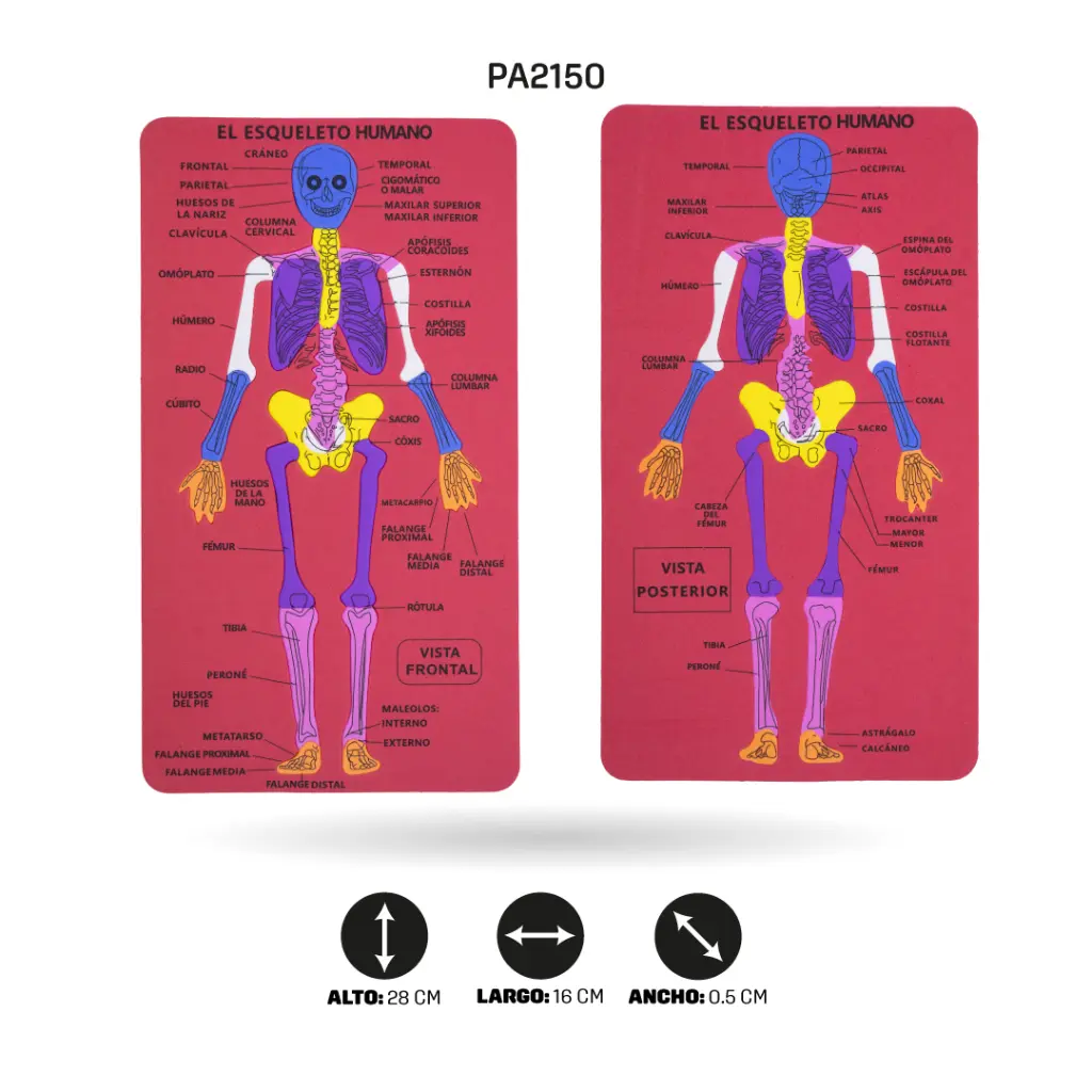 PA2150D.webp