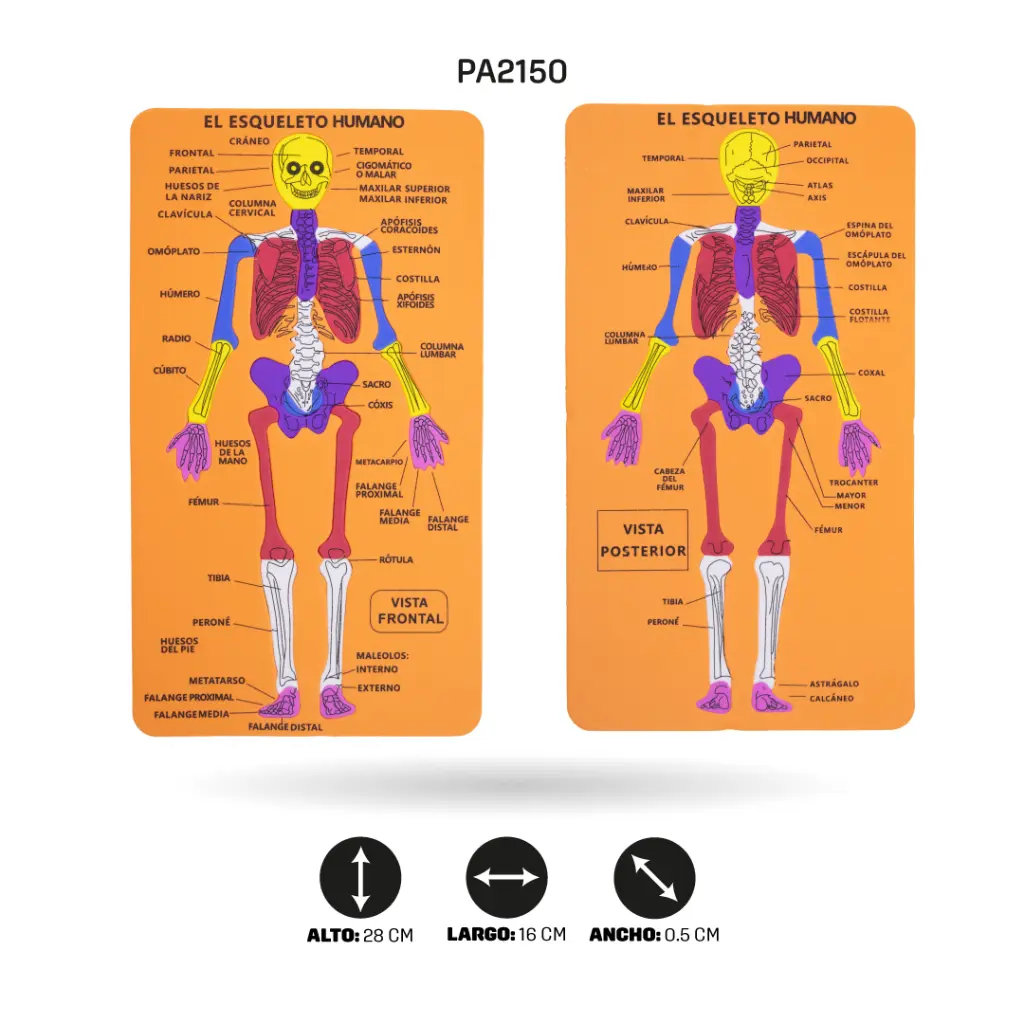 PA2150G.webp