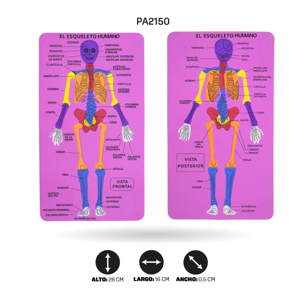 PA2150E.webp