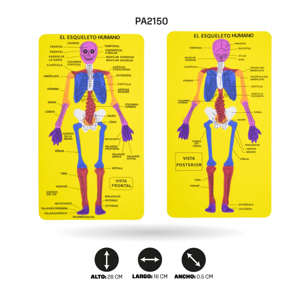 PA2150F.webp