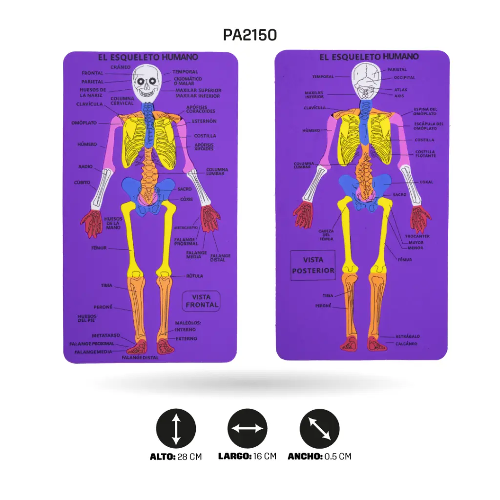 PA2150C.webp