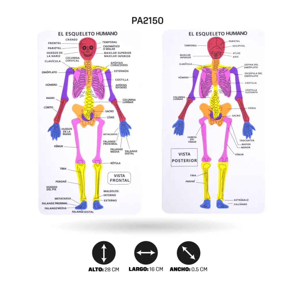 PA2150B.webp