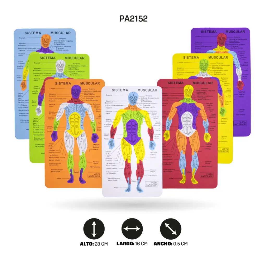 PA2152A.webp