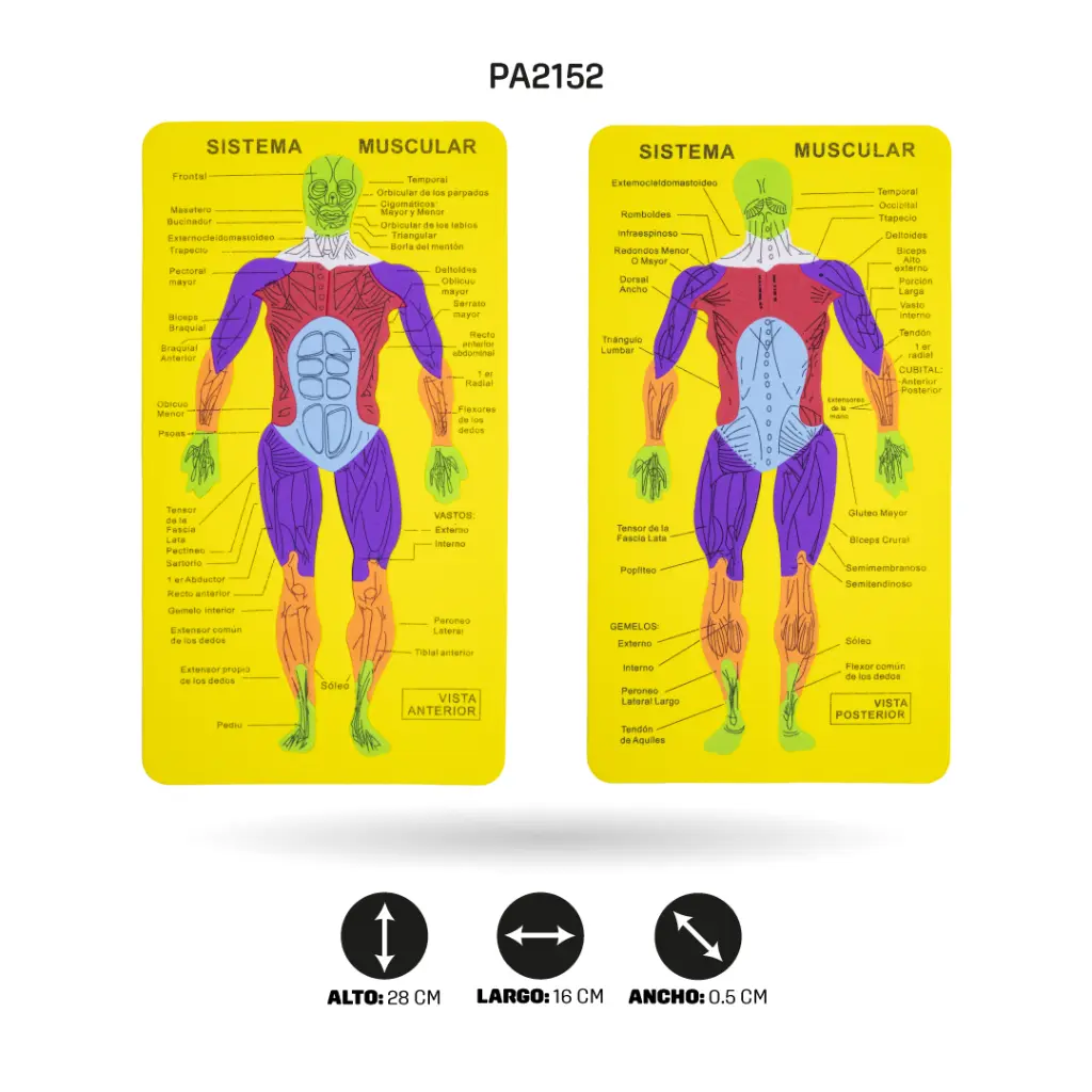 PA2152F.webp