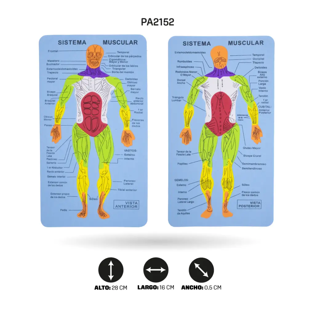 PA2152B.webp