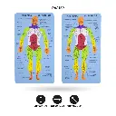 PA2152B.webp