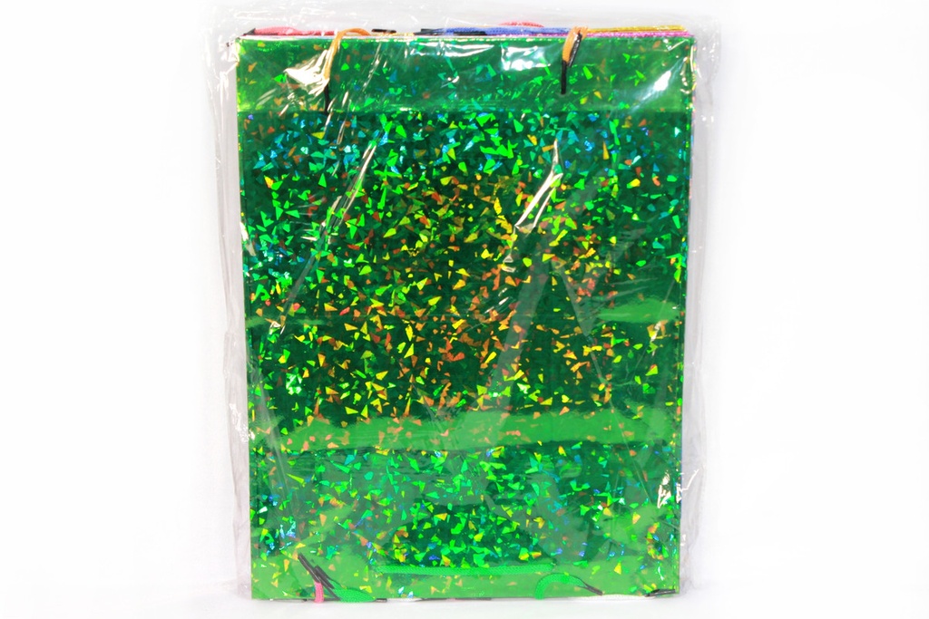 BOLSA DE REGALO HOLOGRAMADA NO. 2 GRUESA (18cm x 23cm x 10 cm) x 180grs [PAC30049-2738] DISPLAY X 12